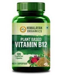 Himalayan Organics Plant Based Vitamin B12, Natural (120 Pills)
